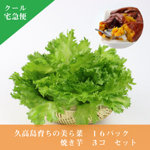 久高島育ちの美ら菜１６パックと焼きいも３個セット